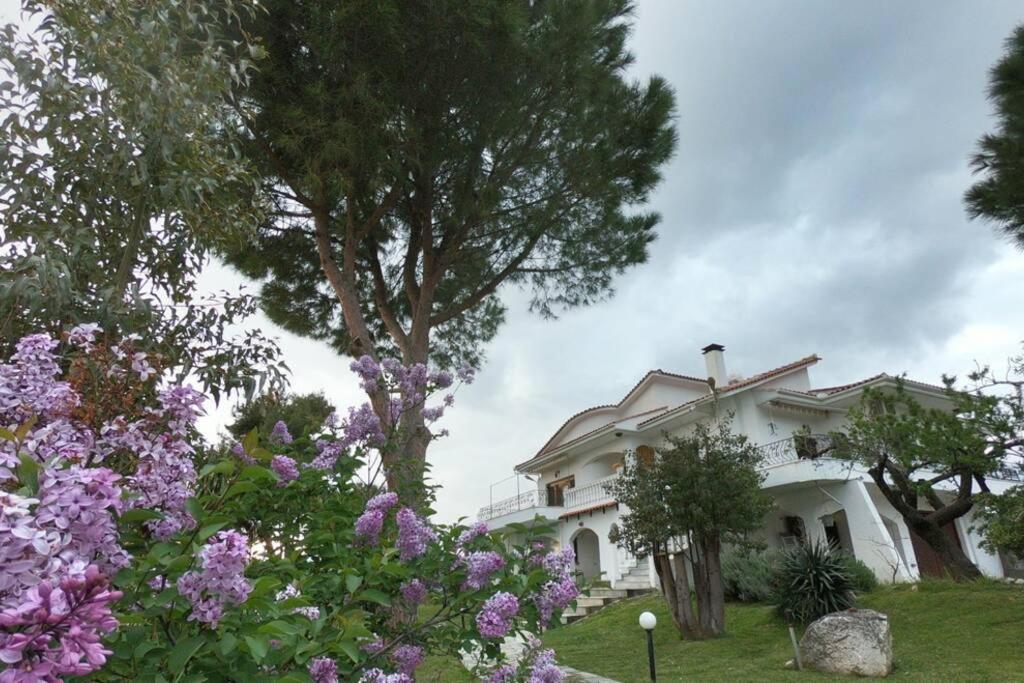 Triple H Villa Volos Ngoại thất bức ảnh